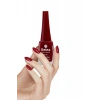 Hubrendy Tedarik 5 Adet Keratinli Besleyici Oje 14 ml SET4