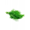 Hubrendy Tedarik Dere Otu Tohumu 10 Gr