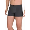 Hubrendy Tedarik Erkek Modal Boxer Short Füme 4488B