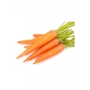 Hubrendy Tedarik Sarı Havuç Tohumu 10 Gr