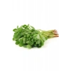 Hubrendy Tedarik Semizotu Tohumu 10 Gr