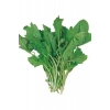 Hubrendy Tedarik Tere Tohumu 10 Gr