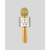 Hubrendy Tekno Karaoke Mikrofonu Bluetooth USB AUX Girişli Yankı Efektli