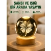 Hubrendy Tekno Yonca Figürlü Cam Küre USB Işıklı Ahşap Tabanlı Dekoratif Masa Lambası