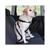 Köpek Emniyet Kemeri Medium 50-70 Cm