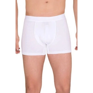 Hubrendy Beru Berrak Erkek  Modal Boxer  4476
