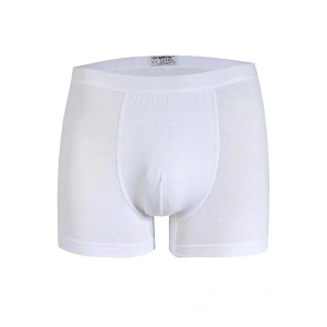 Hubrendy Beru Star 103 Modal Boxer