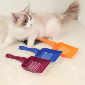 Hubrendy Emin Kedi Kumu Küreği