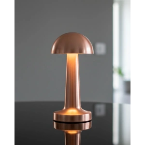 Hubrendy Kargo Mantar Gold