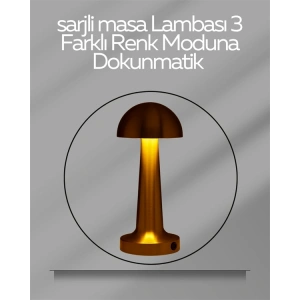 Hubrendy Kargo Usb Şarjlı Dokunmatik Led Masa Lambası – 3 Renk Modu & Dimmer