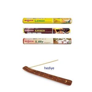 Hubrendy Tedarik 3 Paket 20 Çubuklu Tütsü Limon - Amber - Lilly - Kayık Hediyeli