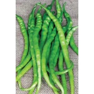 Hubrendy Tedarik Acı Kıl Biber Tohumu 10 Gr
