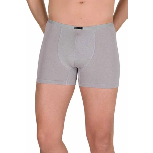 Hubrendy Tedarik Erkek Modal Boxer Short Gri 4488B