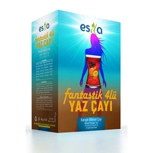 Hubrendy Tedarik Fantastik 4 Lü Yaz Çayı 45 Li.