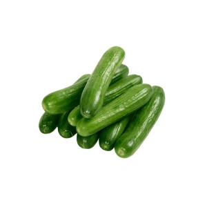 Hubrendy Tedarik Hıyar Tohumu 20 Gr