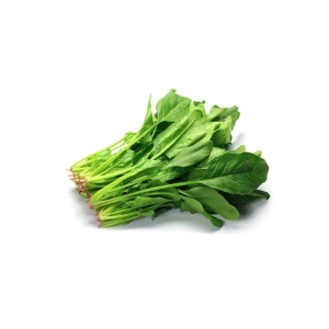 Hubrendy Tedarik Ispanak Tohumu 25 Gr