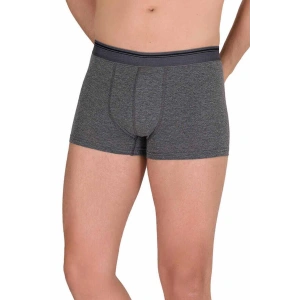 Hubrendy Tedarik Likralı Erkek Boxer Şort Füme 1097B
