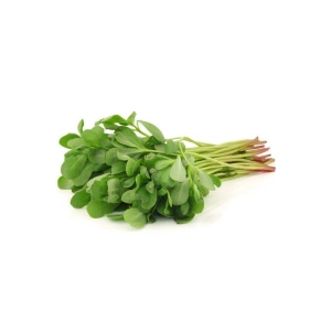 Hubrendy Tedarik Semizotu Tohumu 10 Gr