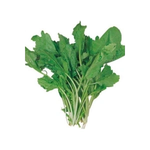 Hubrendy Tedarik Tere Tohumu 10 Gr
