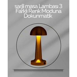 Hubrendy Tekno USB Şarjlı Dokunmatik LED Masa Lambası – 3 Renk Modu & Dimmer