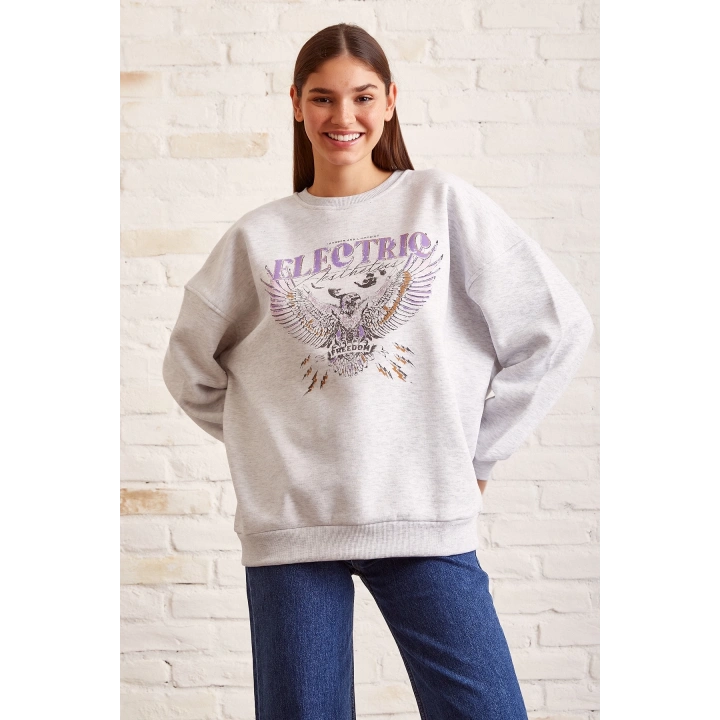 Bisiklet Yaka Baskılı Sweatshirt Kar Melanj