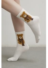 4 Lü Teddy Bear Çorap Seti Çok Renkli