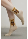 4 Lü Teddy Bear Çorap Seti Çok Renkli