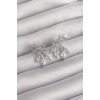 Pirinç Gümüş Renk Zirkon Taşlı Fiyonk Küpe