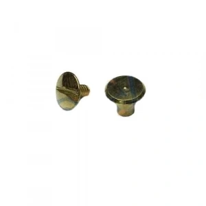 Cilt Menü, Katalog, Kartela Vidası, 6 Mm - Sarı, 1 Adet