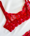 Kadın  Kalpli Kırmızı Dantelli Balenli  Sütyen Külot Takım