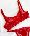 Kadın  Kalpli Kırmızı Dantelli Balenli  Sütyen Külot Takım