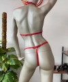 Kırmızı Deri Sütyen Takım Deri İç Giyim