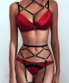 Seksi Harness Jartiyer Takım - Brf291