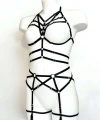 Seksi Jartiyer Harness Takım - Brf347