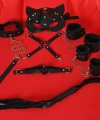 Siyah İçi Tüğlü Maske,kol,bacak,ağız Topu,kırbaç,tasma Set 700939