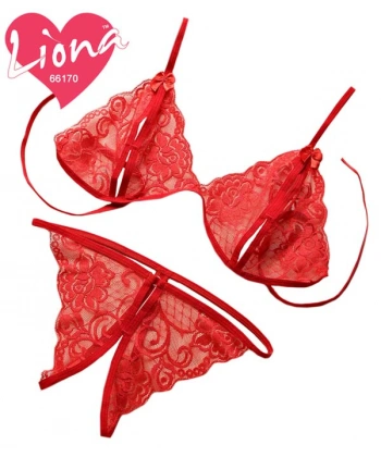 Beruflic Dantelli Büyük Beden Sütyen Takımı