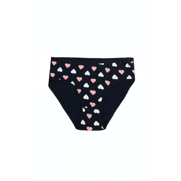 Büyük Beden Pamuklu Likralı Karışık Renkli 3lü Külot