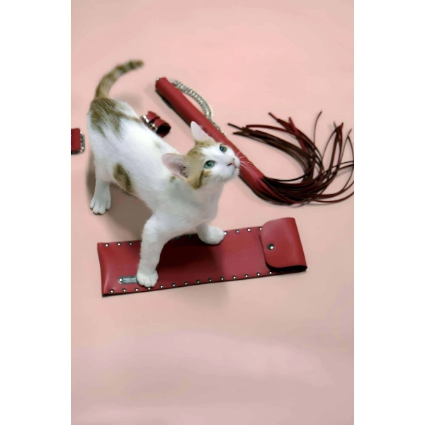 Kırbaç - Kelepçe Set, Kırbaç Takım, Fantezi Kelepçe Takım - Brf1304