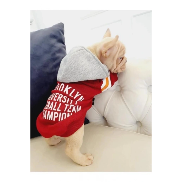 Baseball Hoodie Bordo Köpek Kıyafeti