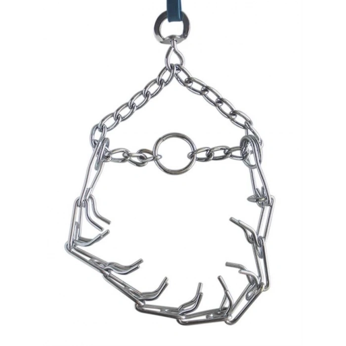 Eastland Eğitim Tasması Small