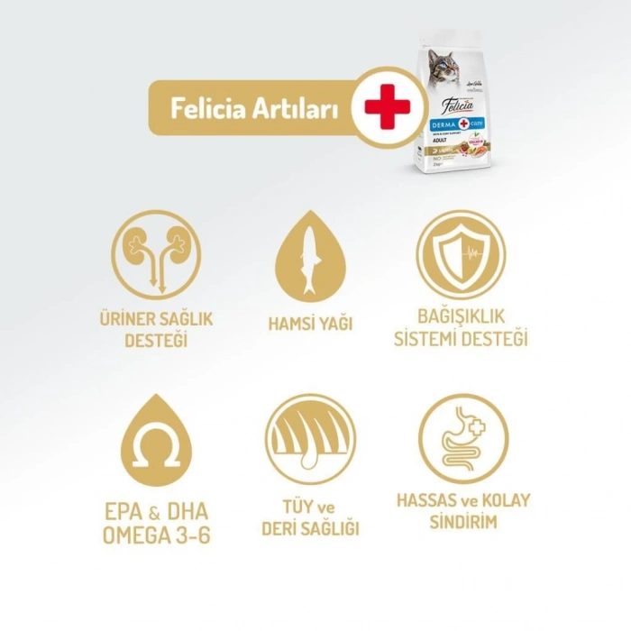 Felicia Somonlu Yetişkin Kedi Maması 2 kg