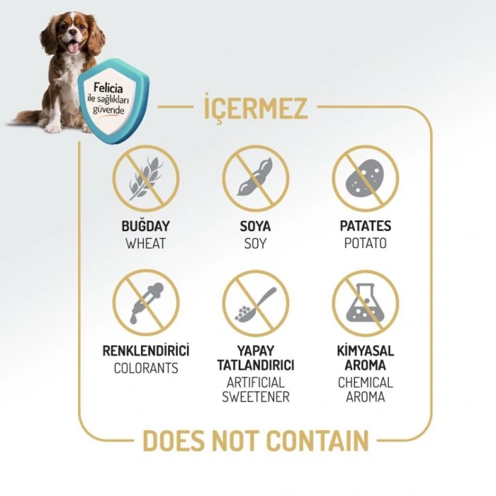 Felicia Somonlu Yetişkin Köpek Maması 3 kg