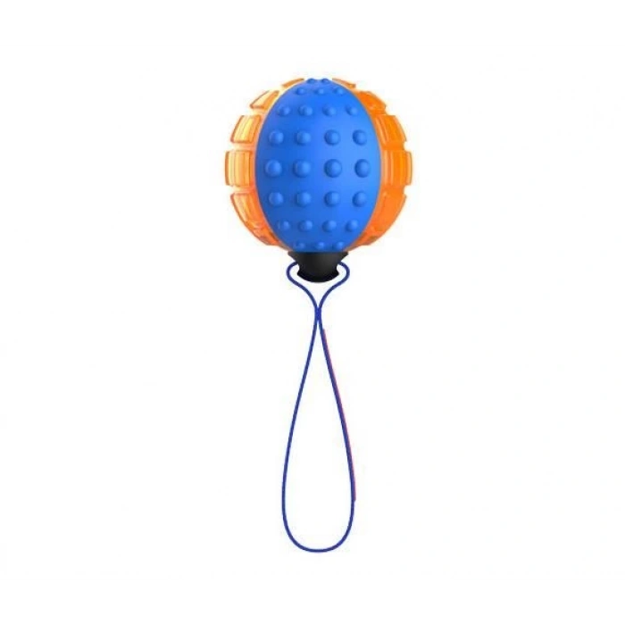 Gigwi Push To Mute Gülle Ses Kontrollü Köpek Oyuncağı