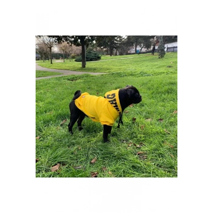 Magnet Sweatshirt Köpek Kıyafeti