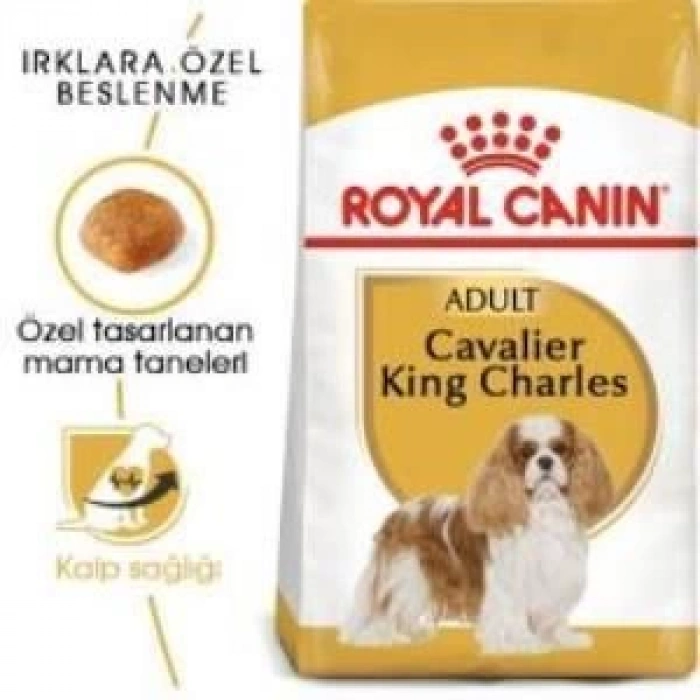 Royal Canin Cavalier King Charles  Yetişkin Köpek Maması 3 kg + 2 Adet Yaş Mama Hediye