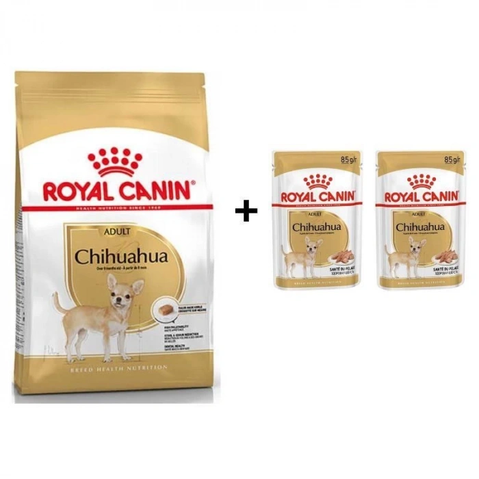 Royal Canin Chihuahua Yetişkin Köpek Maması 1,5 kg + 2 Adet Yaş Mama Hediye