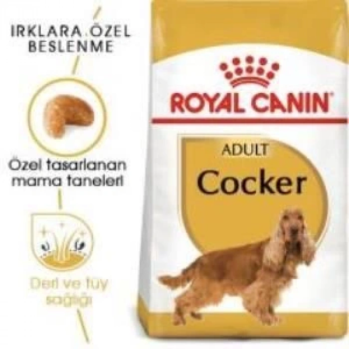 Royal Canin Cocker Yetişkin Köpek Maması 3 kg + 2 Adet Yaş Mama Hediye