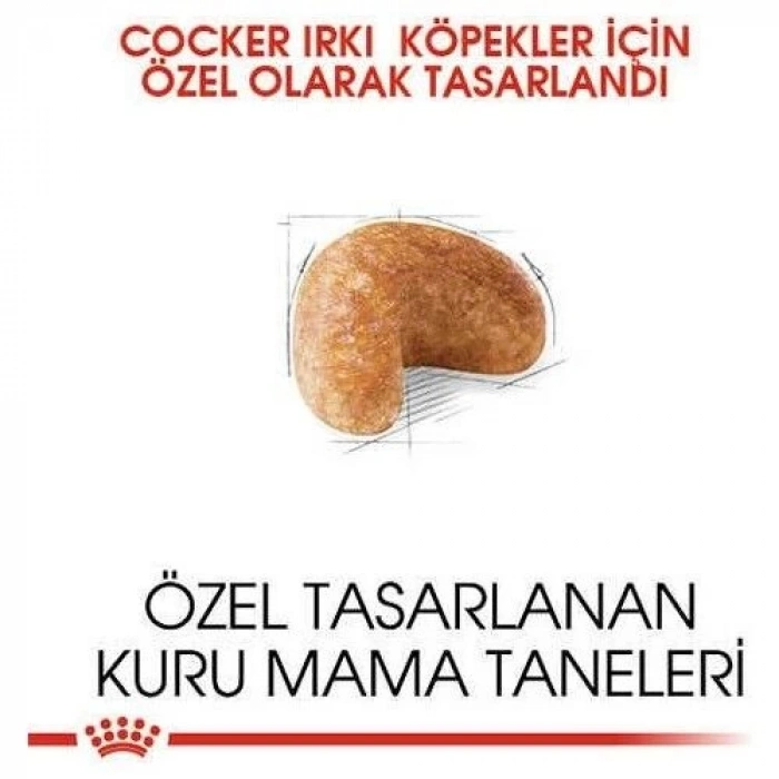 Royal Canin Cocker Yetişkin Köpek Maması 3 kg