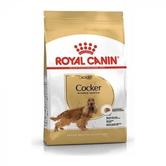 Royal Canin Cocker Yetişkin Köpek Maması 3 kg