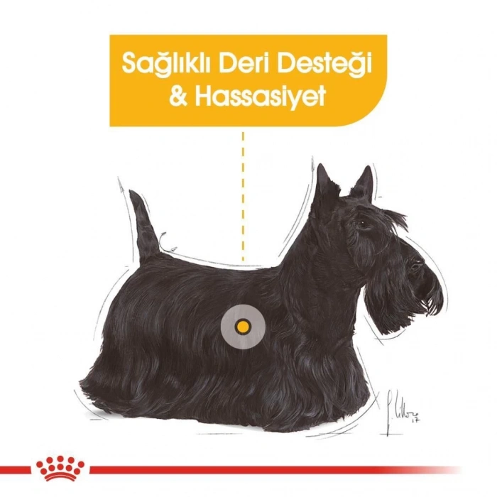 Royal Canin Dermacomfort Loaf Köpek Yaş Maması 85 Gr